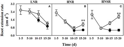 Durum Wheat Roots Adapt to Salinity Remodeling the Cellular Content of Nitrogen Metabolites and Sucrose